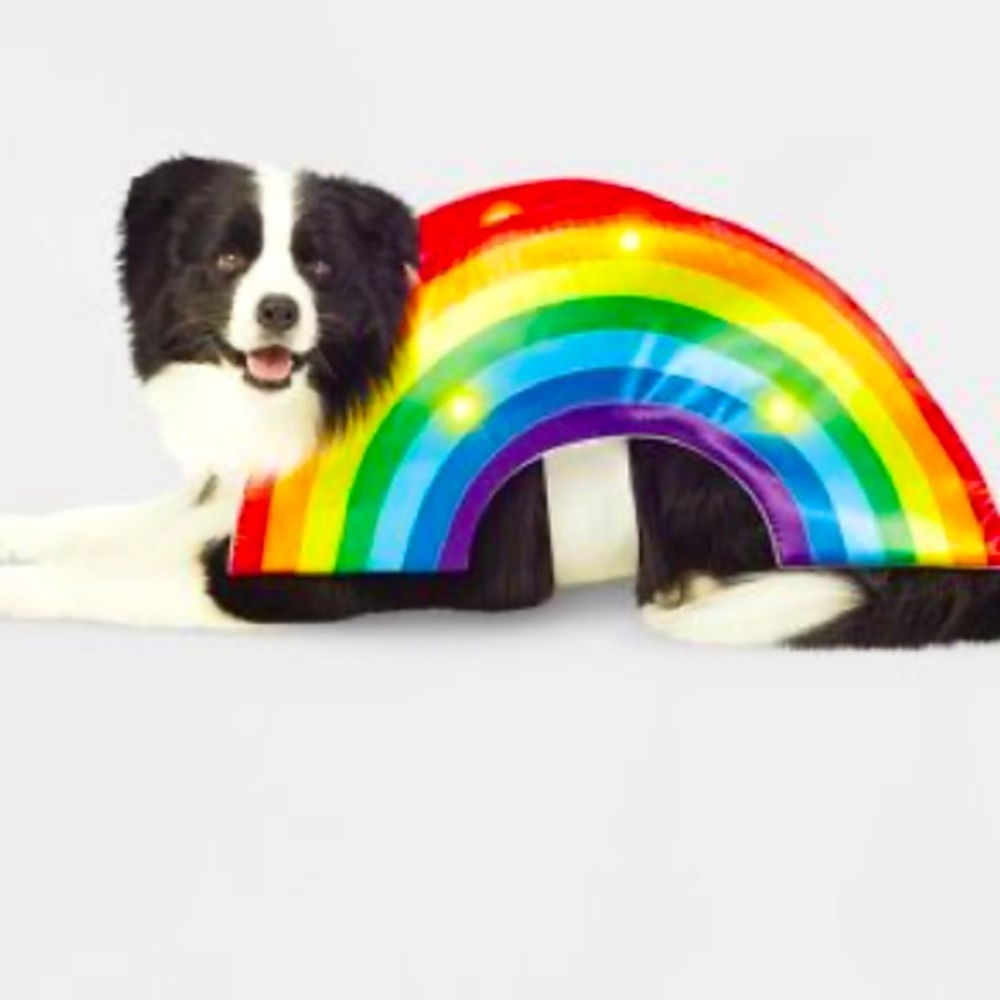 NEW LED Rainbow Soft Brights Dog and Cat Costume Hyde & EEK! Boutique size Large